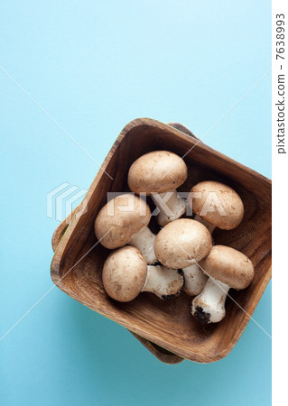 蘑菇 蘑菇 7638993
