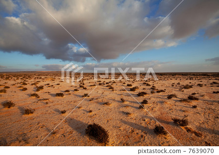 Desert in Western Sahara 7639070