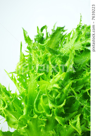 新鮮的furirurrettasu 新鮮的furirurrettasu 7639223