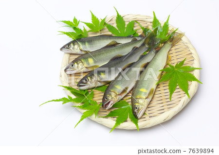 Fresh natural sweetfish 7639894