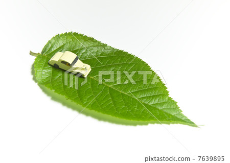 Eco image of leaves and wooden cars 7639895