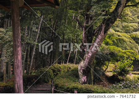 Jogeji寺Sesshu花園 Jogeji寺Sesshu花園 7641732