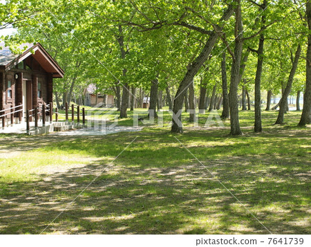 Kussharoko湖沙子營地在初夏 7641739