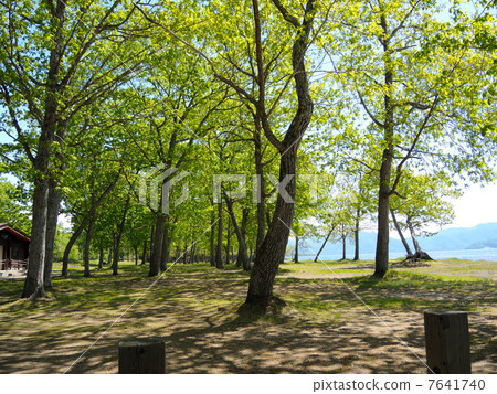 Kussharoko湖沙子營地在初夏 7641740