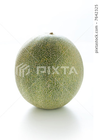 melon melon 7642325