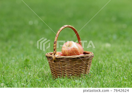 wicker basket full of gala apples wicker basket full of gala apples 7642624