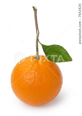 ripe round orange with stem and leaf ripe round orange with stem and leaf 7642626