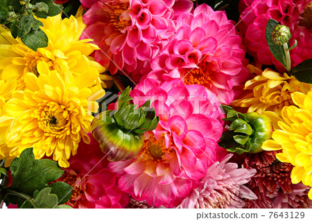 Floral background 7643129
