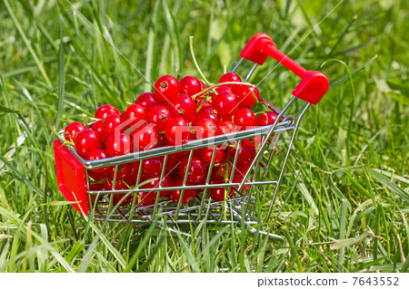 Shopping cart with red currant 7643552