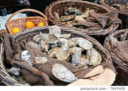 fresh oysters at market 7645400