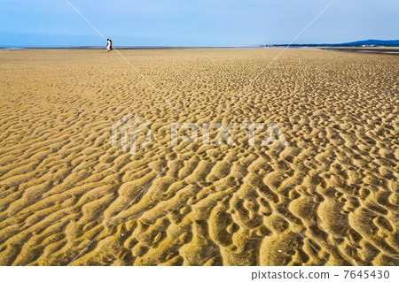 wet sand during low water on beach of English Channel 7645430