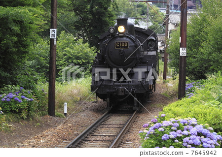 Oigawa Railway SL 7645942