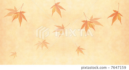 autumn autumn 7647159