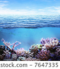 Sea underwater 7647335