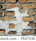 Wall 7647336