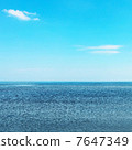 Sunny sea 7647349