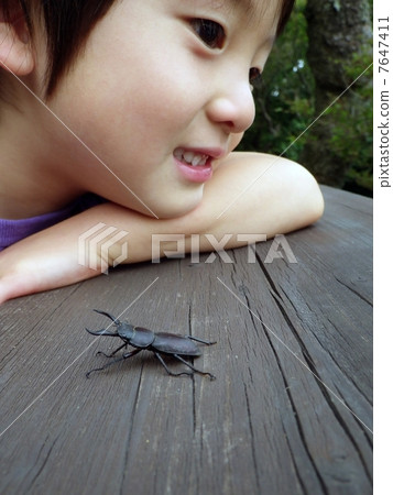 A stag beetle and a child's profile 7647411