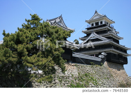 Nakatsu Castle 7648580