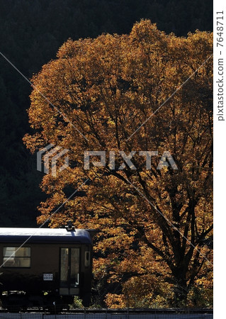 Autumn leaves 2 Autumn leaves 2 7648711