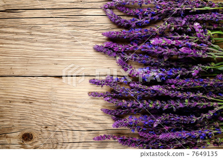 Salvia flowers on wooden background 7649135