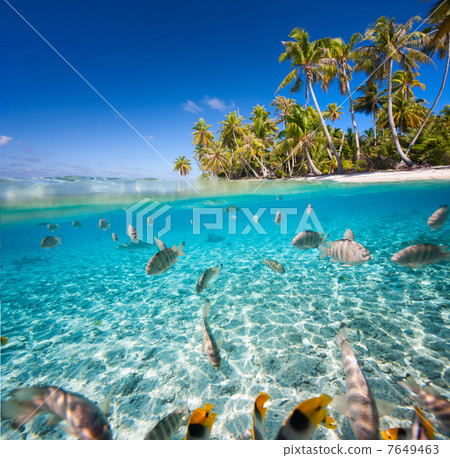 Tropical island 7649463