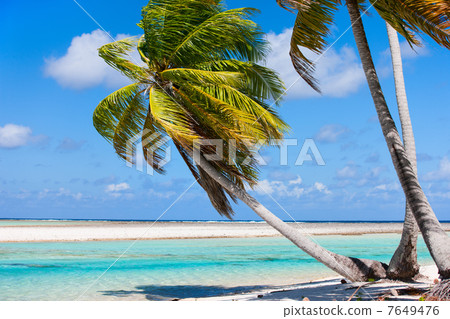 Stunning tropical beach Stunning tropical beach 7649476
