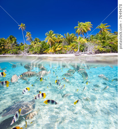 Tropical island 7649478