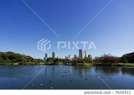 Parks and cities Parks and cities 7650411