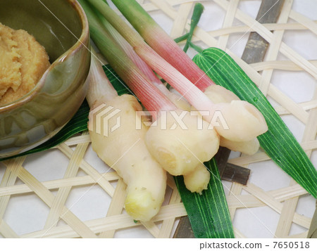 Yanaka ginger Yanaka ginger 7650518