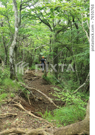 Mountain climbing Echizen Mountain climbing Echizen 7650768