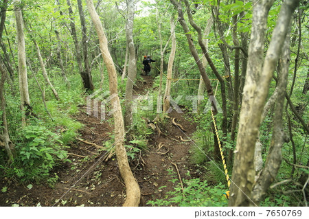 Mountain climbing Echizen Mountain climbing Echizen 7650769