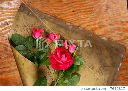 Roses Roses 7650817