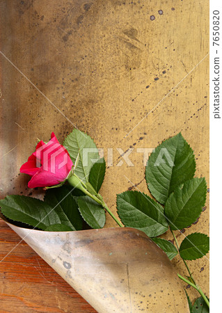 Flower Flower 7650820