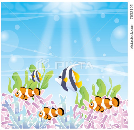 熱帶魚海 7652105