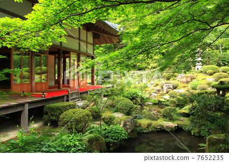 Fresh green Sanzenin Ju-en Garden 7652235