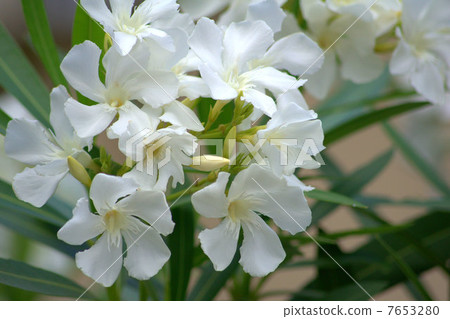 A cool cool alley 7653280