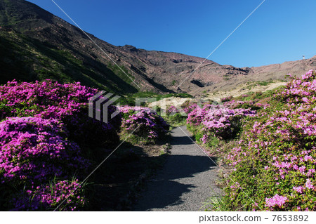 春天阿蘇森鎮峽谷 7653892