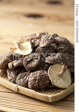 Shiitake mushroom 7656121