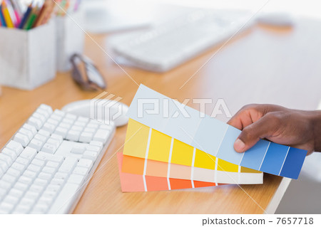 Interior designer holding colour charts 7657718