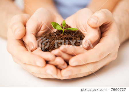 hands with green sprout and ground 7660727