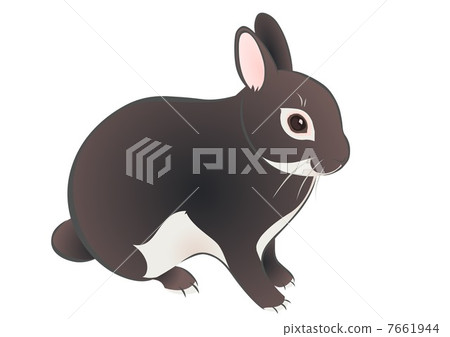 Usagi 5 - Stock Illustration [7661944] - PIXTA