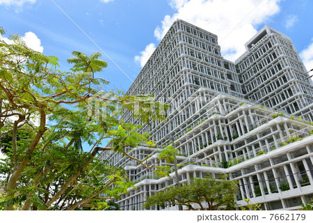 那霸市政廳 7662179