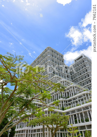 那霸市政廳 那霸市政廳 7662181