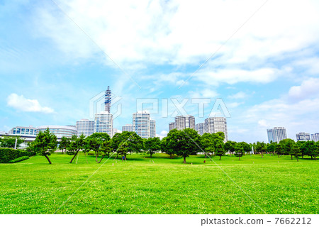 Yokohama Lake Cap Park (Nishi Ward, Yokohama City) 7662212