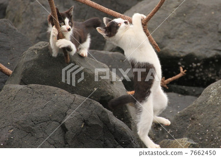 你還好嗎? 你還好嗎? 7662450