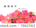 茶梅 7662562