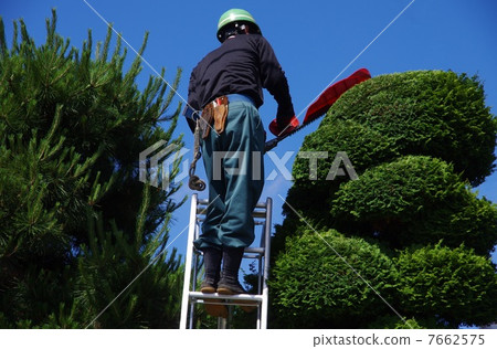 Hiba's harvesting work of the craftsmen 7662575