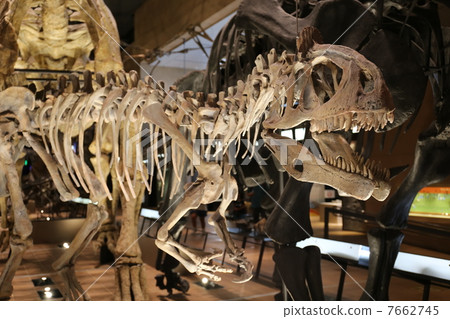 Criolofosaurus 7662745