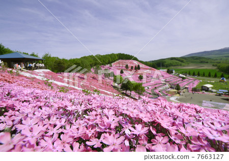 北海道Okorocho的芝公園 7663127