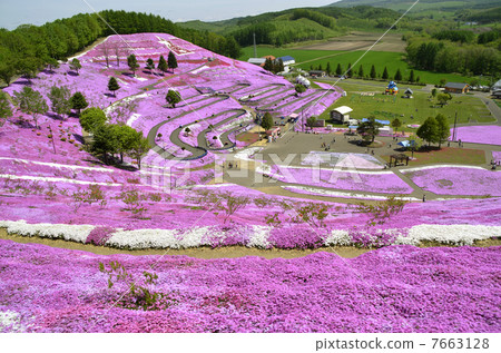 Shiba-ko Park in Hokkaido Okorocho 7663128